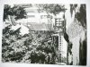 ROGALIN. MUZEUM NARODOWE. PAŁAC Z II POŁ.. XVIII w. FASDADA OD STRONY PARKU FRANCUSKIEGO FOT. KORPAL