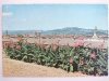FIRENZE. PANORAMA DAL PIAZZALE MICHELANGIOLO