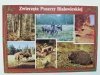 ZWIERZĘTA PUSZCZY BIAŁOWIESKIEJ. SZEŚĆ UJĘĆ FOT. CZERWIŃSKI I INNI