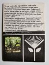 WARZYWA KORZENIOWE W OGRODZIE I W DOMU. MARCHEW, PIETRUSZKA 