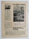HODOWCA GOŁĘBI POCZTOWYCH NR 9  1965