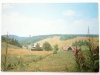 RYBNICA LEŚNA. SCHRONISKO PTTK ANDRZEJÓWKA FOT. CHMIELEWSKI