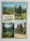 TATRY ZACHODNIE. CZERWONE WIERCHY FOT. OLSZEWSKI