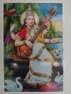 SARASWATI BUDDIES