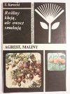 ROŚLINY KŁUJĄ, ALE OWOCE SMAKUJĄ. AGREST, MALINY 1984