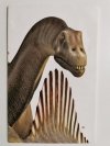 NATIONAL GEOGRAPHIC DODATEK MAJ 2013 PLANETA DINOZAURÓW 