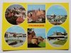FROMBORK. SZEŚĆ UJĘĆ FOT. SIEMASZKO, ZWIERZCHOWSKI