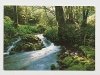 GERMANY FOTOKUNST GROH WORTHSEE