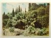 JAŁTA NIKITSKI OGRÓD BOTANICZNY