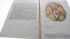 MAŁY ATLAS ANATOMICZNY - Witold Sylwanowicz 1984