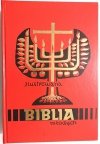 ILUSTROWANA BIBLIA MŁODYCH - Ks. Tomasz Hergesel 