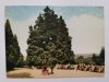 ŚWIERADÓW ZDRÓJ. PARK ZDROJOWY FOT. KRASSOWSKI