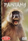 DVD. NATURAL KILLERS TOM 9. PAWIANY W DOLINIE MAŁP