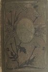 PISMA ZYGMUNTA KRASIŃSKIEGO Z PORTRETEM AUTORA TOM III – 1901R - Zygmunt Krasiński