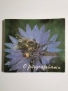 O FOTOGRAFOWANIU - Andrzej A. Mroczek 