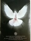 WY JESTEŚCIE ŚWIATŁEM ŚWIATA. DUCHOWOŚĆ CHRZCIELNA I 2014