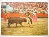 UNA CORRIDA. UN PAR DE BANDERILLAS