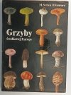 GRZYBY ŚRODKOWEJ EUROPY - M. Svrcek