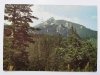 TATRY ZACHODNIE. WIDOK NA GIEWONT FOT. OLSZEWSKI