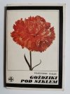 GOŹDZIKI POD SZKŁEM - Franciszek Małek 