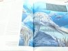 WIELKA ENCYKLOPEDIA. KRÓLESTWO ZWIERZĄT TOM 44 PREHISTORIA. DAWNE KRĘGOWCE
