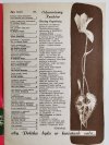 KWIATY NR 3/1980