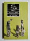 UPIORNA DŁOŃ - Jonathan Carroll 