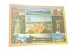 TORUŃ HISTORYCZNE MIASTO W KOTLINIE FOT NIEZNALSKI