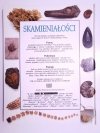 PATRZĘ PODZIWIAM POZNAJĘ. SKAMIENIAŁOŚCI - dr Paul D. Taylor 1995
