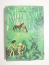 RONJA CÓRKA ZBÓJNIKA - Astrid Lindgren 1990