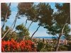 RIVIERA DEI FIORI – BORDIGHERA