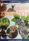 MŁODE ZWIERZĘTA. ODKRYWANIE ŚWIATA