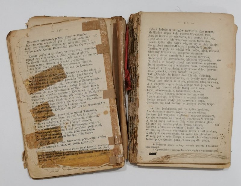 PAN TADEUSZ wyd. 1911 r. - Adam Mickiewicz
