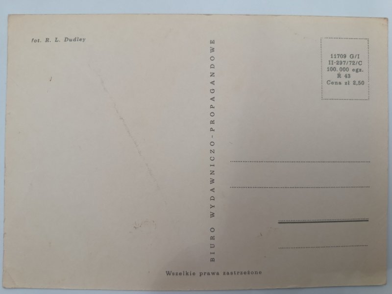 KWIATY W GARZE R. L. DUDLEY