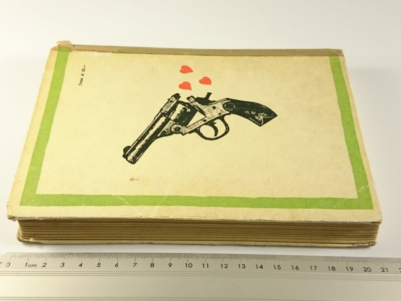 WIRGIŃCZYK. JEŹDZIEC Z RÓWNI - Owen Wister 1969