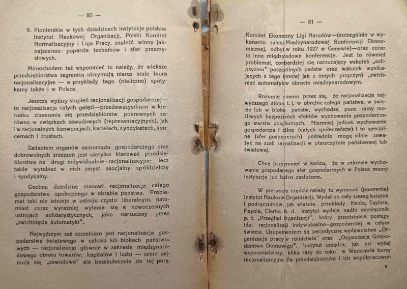 DOBROBYT SPOŁECZEŃSTWA A WYCHOWANIE - Robert Battaglia