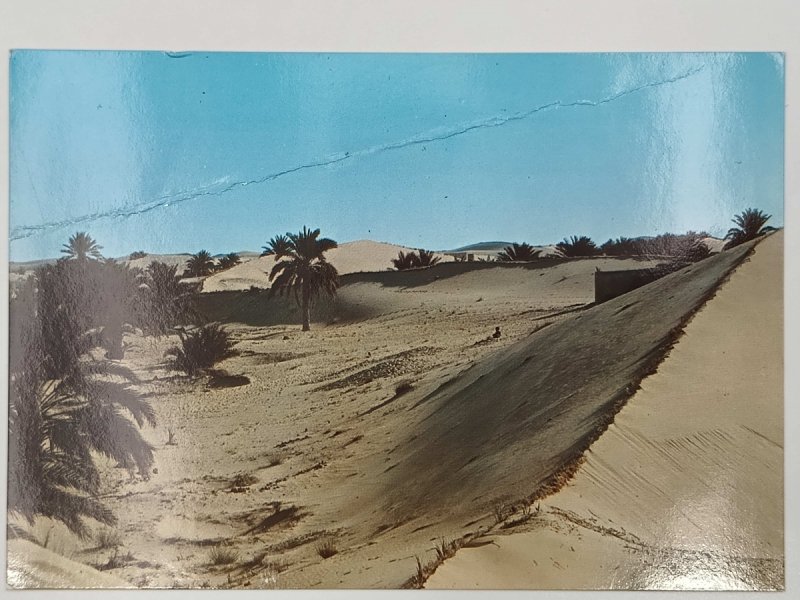 ALGERIE LE SUD FASCINANT