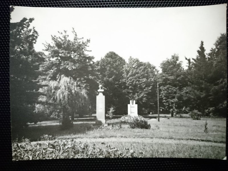 TOMASZÓW MAZOWIECKI. PARK D-RA RODEGO FOT. KORPAL