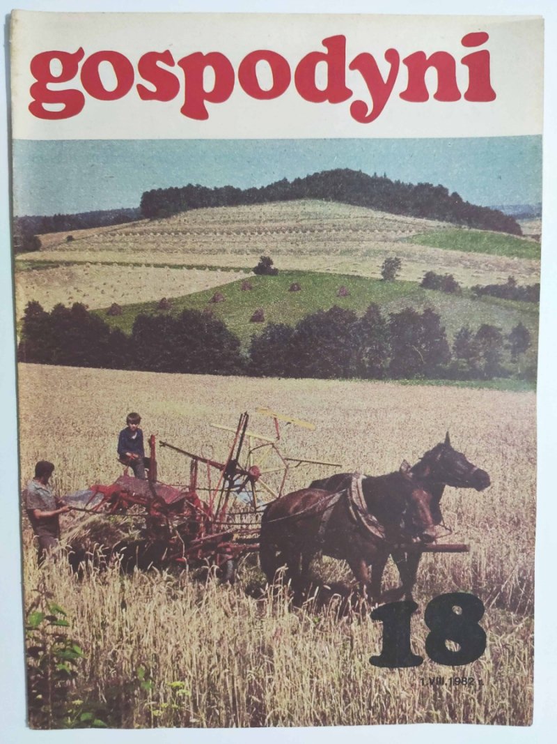 GOSPODYNI 18/1982