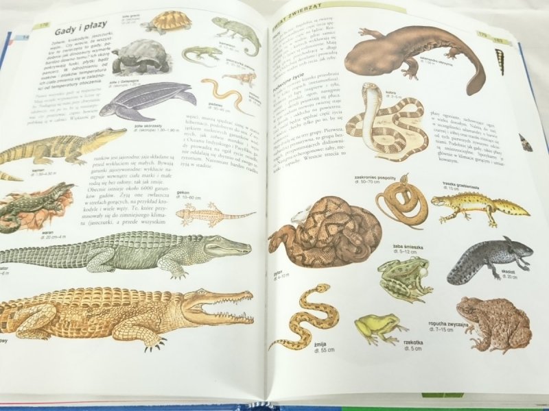 POWSZECHNA ENCYKLOPEDIA DLA MŁODZIEŻY 1994