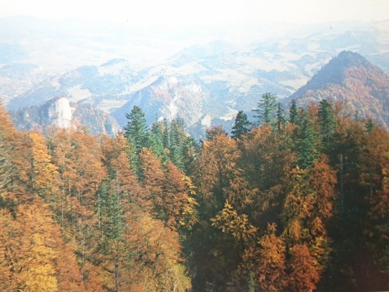 PIENINY. WIDOK Z TRZECH KORON FOT. M. RACZKOWSKI