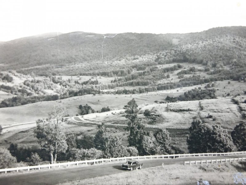 BIESZCZADY. SERPENTYNY POD BRZEGAMI GÓRNYMI