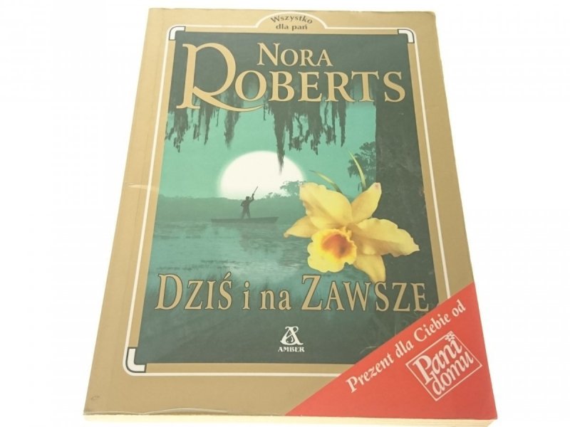 DZIŚ I NA ZAWSZE - Nora Roberts 2001
