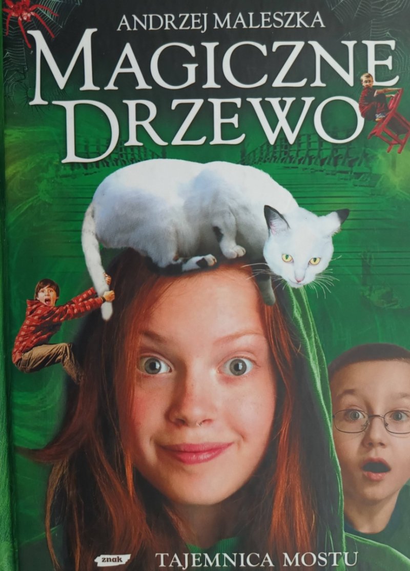 MAGICZNE DRZEWO. TAJEMNICA MOSTU - Andrzej Maleszka