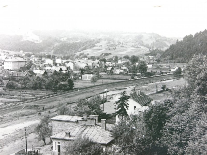 MUSZYNA. FOT. T. CHRZANOWSKI