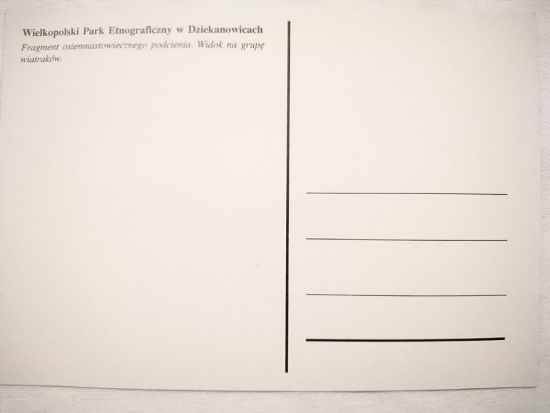 WIELKOPOLSKI PARK ETNOGRAFICZNY W DZIEKANOWICACH. FRAGMENT OSIEMNASTOWIECZNEGO PODCIENIA. WIDOK NA GRUPĘ WIATRAKÓW