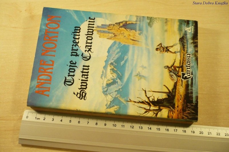 TROJE PRZECIW ŚWIATU CZAROWNIC - Andre Norton 1991