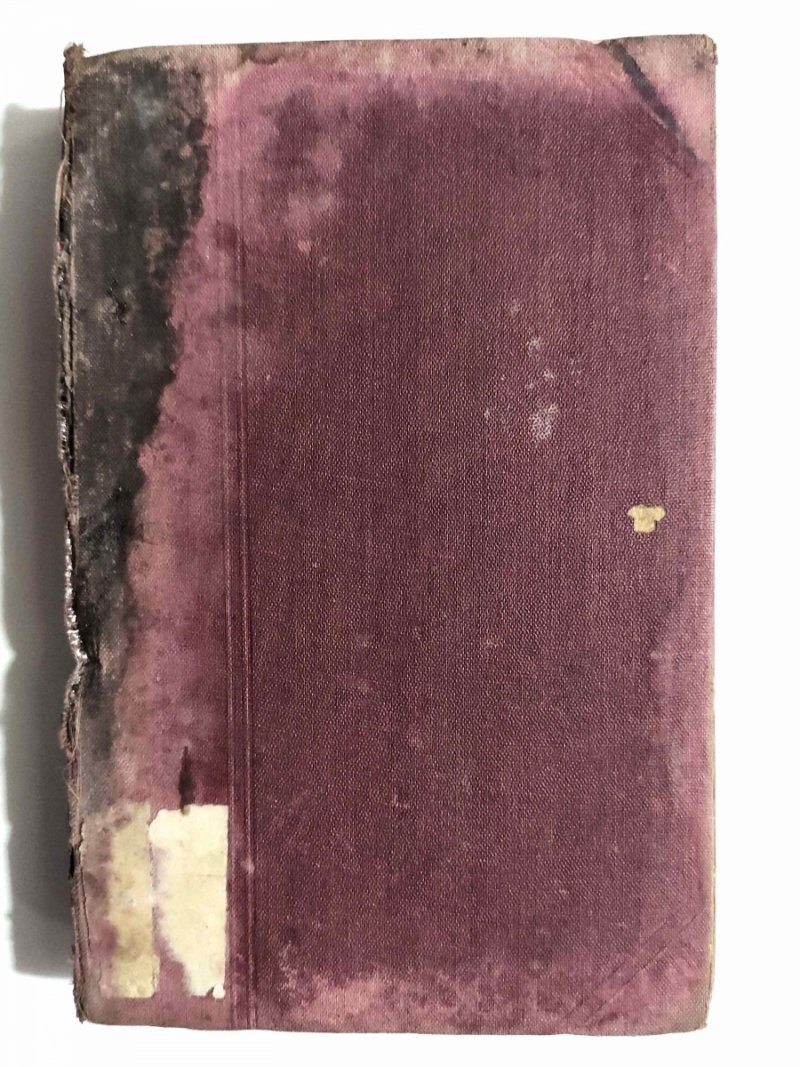 HISTORYA LITERATURY POLSKIEJ 1900 - Piotr Chmielewski