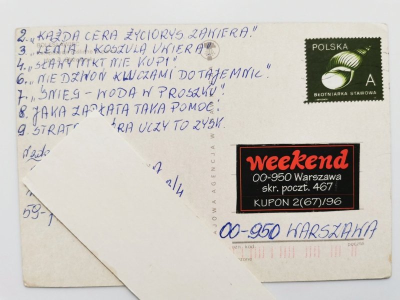BOLESŁAWIEC. KOMPOZYCJE ROŚLINNE W PARKU FOT. BŁAŻEJCZYK