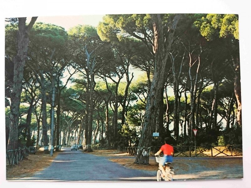 FREGENE (ROMA) PINETA